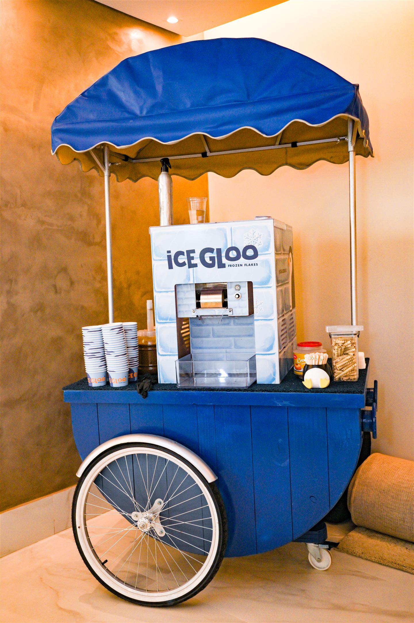 Estrutura real IceGloo com carrinho e máquina de preparo